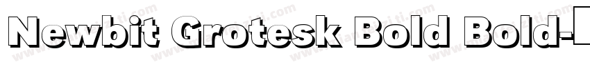 Newbit Grotesk Bold Bold字体转换